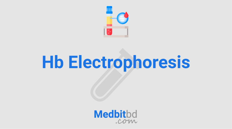 Hb Electrophoresis Test Price in Bangladesh