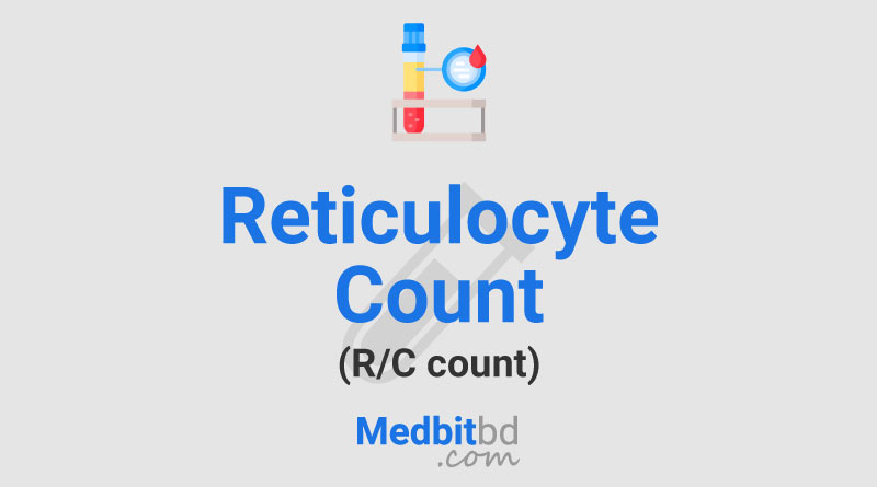 Reticulocyte Count